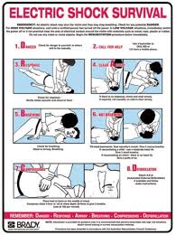 Learn more about how they can occur, the potential after effects, and how to help someone who has been electrocuted. First Aid For Electric Shock Poster The Guide Ways