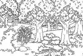 Gambar the flash hitam putih. 14 Gambar Hitam Putih Hutan