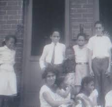 Image result for Egyptian Cream 1977 Hussmann