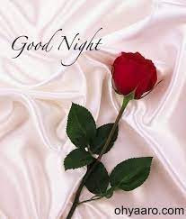 Good night hd captions download for whatsapp. Good Night Images For Love Good Night Flowers Oh Yaaro