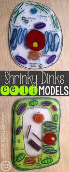 Select sample cells from a plant or animal and place the cells on a microscope to look inside the cells. Shrinky Dinks Cell Models Teacher Thrive