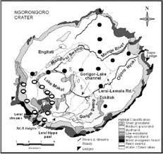 Image result for Gutenbergia cordifolia