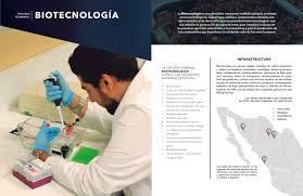 Con un exitoso modelo académico y formación integral. Maestria Y Doctorado En Ciencias By Ciad Issuu