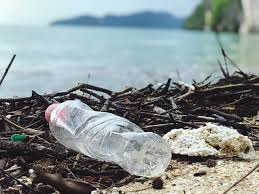 This is a global problem that we need to stop together. News Coordinating Body On The Seas Of East Asia Cobsea