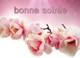 Résultat de recherche d'images pour "bonne soiree"