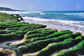 Both clamps are gripping a steel wire. Laomei Green Reef Ist Ein Strand Bei Nordkuste Von Taiwan Jetzt Ist Es Geworden Wegen Seiner Unglaublichen Welle Cut Lava Mit Grunen Algen Uberzogen New Taipei City Taiwan Beruhmten Lizenzfreie Fotos Bilder Und