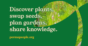 Image result for Pentadiplandraceae