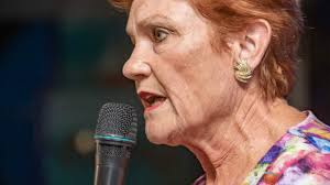 Who are the Senate candidates? The 2025 election lists, in full