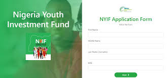 Nigeria Youth Investment Fund Nyif Application Form Portal Steps To Apply Online Dailys In 2020 Empowerment Program Investing Application Form