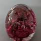Glass Gathering Paperweights event image