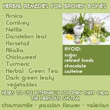 Pin On Herbs For Healing