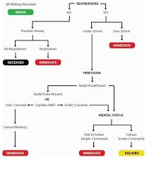 Start Triage Flowchart Adult Triage Nursing School Nurse