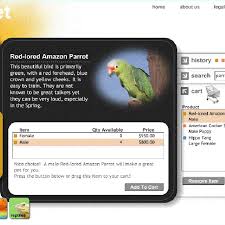 Try to explore and find out the closest choice pet store near you. Macromedia Pet Market Shows All Elements Of The Purchase Process On The Download Scientific Diagram