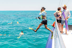 Image result for Selago barabei