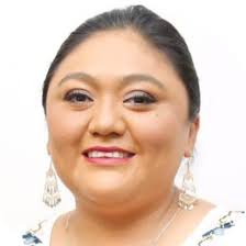 Quiénes son los diputados federales por Yucatán 2024- 2027?