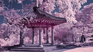 This hd wallpaper is about anime, original characters, japanese clothes, cherry blossom, original wallpaper dimensions is 2480x1753px, file size is 729.36kb. Cherry Blossom Chinese Garden 441068 Hd Wallpaper Backgrounds Download