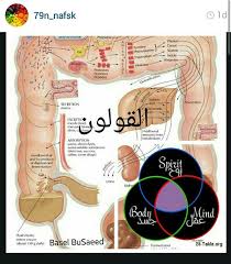 القولون أساس المشاكل و مستودع الفضلات تقريبا الجميع عنده مشكله في القولون حتى و إن كان ما نشتكي حال Medical Information Health And Nutrition Healthy Beauty