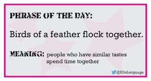 Birds Of The Same Feather Flock Together Meaning Phrase Birds Of A Feather Flock Together Learn English Proverbs English Idioms And Proverbs