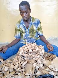 Kalli matan hausawa suna cin gindin junansu. Daily Trust Aminiya An Kama Gurgu Jagoran Yan Kungiyar Asiri Da Kullin Tabar Wi