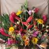 Maybe you would like to learn more about one of these? Best 30 Wholesale Dried Flowers In Los Angeles Ca With Reviews Yp Com