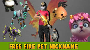 If you use these names the chances are very high, of your guild be highly noticed by the pro players and they will join in the guild. 100 Best Free Fire Pet Nickname Pointofgamer