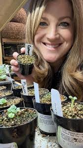 Judy Showalter's Instagram, Twitter & Facebook