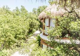 8 Best Treehouse Hotels In Tulum Mexico Updated 2021 Trip101