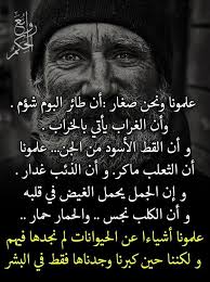 اه والله عمروناااا روسنا بكلام غير صحيح راحت كانت تفهم والله وكانت تفرح بضيوف وكانها انسان كانت تجري امامه Wisdom Quotes Life Wisdom Quotes Knowledge Quotes