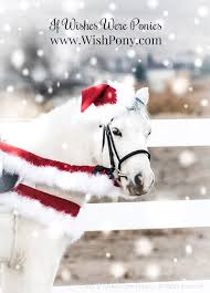 Check spelling or type a new query. Christmas Costumes For Horses Ponies By If Wishes Were Ponies