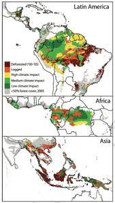 80 Of Rainforests Could Adversely Impacted By Logging Deforestation Climate Change By 2100