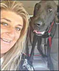 The Third Dog: a mystery featuring 2 deaths, 2 Great Danes, 2 pit bulls,  and ???