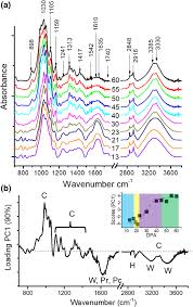 Detection of ir signal will trigger the 555 timer and buzzer will start beeping. Probing Cellulose Structures With Vibrational Spectroscopy Springerlink