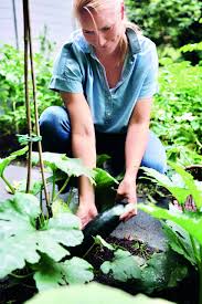 She was previously married to andreas pfaff. Judith Rakers Ich Habe Neun Huhner Und Vier Hahne