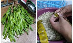 Seeloknya petai yang matanya kasar. Cara Untuk Membuat Petai Jeruk Sebagai Pelengkap Juadah Anda Padu Dan Mantap My Resepi