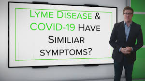 Who Stance On Asymptomatic Transmission Of Covid 19 Clarified Wfaa Com