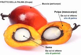 L'olio di palma, che viene. Olio Di Palma Lottate