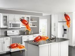 Kitchen set aluminium acp putih telur dpt menghilangkan. Kitchen Set Anti Rayap 8 Keunggulan Bahan Aluminium Composite Panel