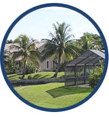Check spelling or type a new query. Dedicated Exterminators Fort Myers Fl Perfection Lawn And Pest Control