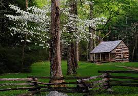 Find gatlinburg tn cabins for sale. Log Cabins For Sale In Gatlinburg Tn Martyloveday Com