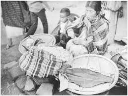 Image result for Eriosema rhynchosioides