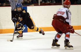 Junior Wheaties win title