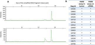 Here are detailed description of each one: Circulating Tumor Dna Is Detectable In Canine Histiocytic Sarcoma Oral Malignant Melanoma And Multicentric Lymphoma Scientific Reports