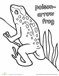 Poison dart frogs have amazing bright colours and lots of patterns on their body (red, blue, green, yellow, orange, silver, pink, black, white…) but do you know . Poison Arrow Frog Worksheet Education Com Poison Arrow Frog Frog Coloring Pages Coloring Pages