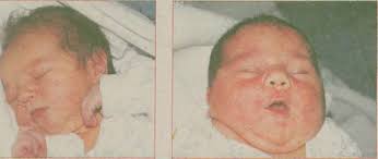 PRZEDWYBORCZY SONDAŻ