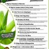 Aloe vera juice benefits more than just sunburns. Https Encrypted Tbn0 Gstatic Com Images Q Tbn And9gcqlpjm4wxszqty1f Pf70ozl8a1fgryvioygg0rui1rjaezfw69 Usqp Cau