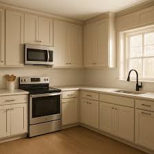 Image result for Beige Ceylog 1984 UMM