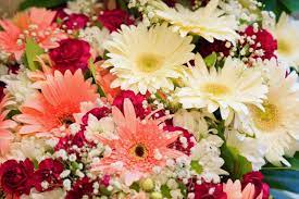 We did not find results for: A Fairly Busy Year Flower Sales And Prices Skyrocket Due To Pandemic