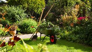 Schubkarre Mit Gartenwerkzeug Mit Blumen Im Hintergrund In 2020 Schrebergarten Garten Neu Gestalten Gartentipps