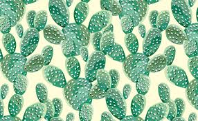 Here are the best decorating ideas for black and designer tobi tobin installed ralph lauren home's ashfield floral wallpaper in the guest room of her hollywood hills cottage, which added a bit more of. Watercolor Cactus Plants Wallpaper For Walls Cacti Attack