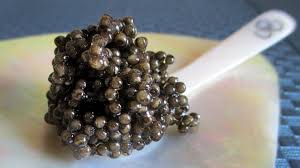 All products from how much does sturgeon caviar category are shipped worldwide with no additional fees. No Kill Caviar Aims To Keep The Treat And Save The Sturgeon The Salt Npr